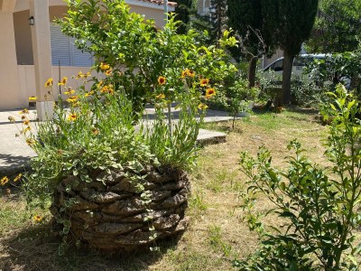 Apartment Two bedroom apartment with balcony Lopar, Rab A-24597-d - Outdoor photo 6