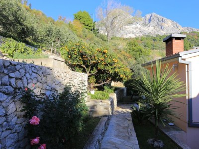 Apartment One bedroom apartment with terrace and sea view Podgora, Makarska A-2594-a - Outdoor photo 15