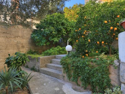 Apartment One bedroom apartment with terrace and sea view Podgora, Makarska A-2594-a - Outdoor photo 17