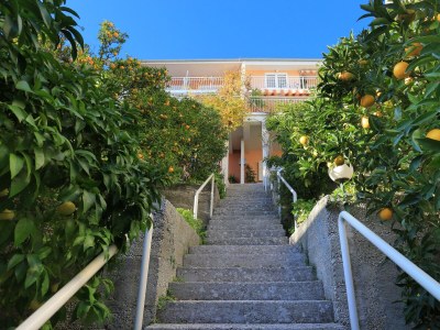 Apartment Two bedroom apartment with terrace and sea view Podgora, Makarska A-2594-b - Outdoor photo 8
