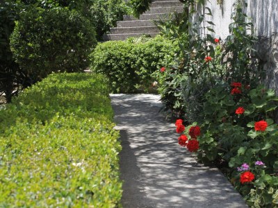 Apartment Two bedroom apartment with terrace and sea view Podgora, Makarska A-2594-b - Outdoor photo 18