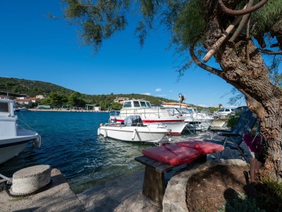 Apartment Two bedroom apartment near beach Zaglav, Dugi otok A-8170-a - Outdoor photo 7