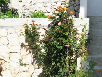 Apartment Two bedroom apartment with terrace and sea view Pisak, Omiš A-2827-d - Outdoor photo 9