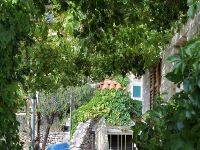 Apartment Two bedroom apartment with balcony and sea view Bol, Brač A-2900-d - Outdoor photo 13