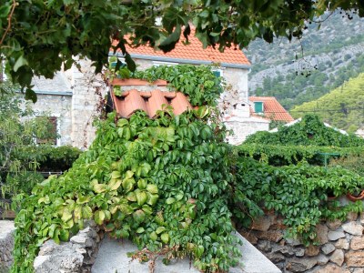 Apartment Two bedroom apartment with terrace and sea view Bol, Brač A-2900-e - Outdoor photo 6