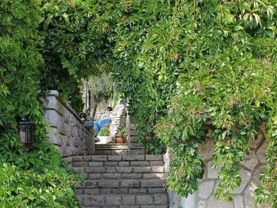 Apartment Two bedroom apartment with terrace and sea view Bol, Brač A-2900-e - Outdoor photo 7