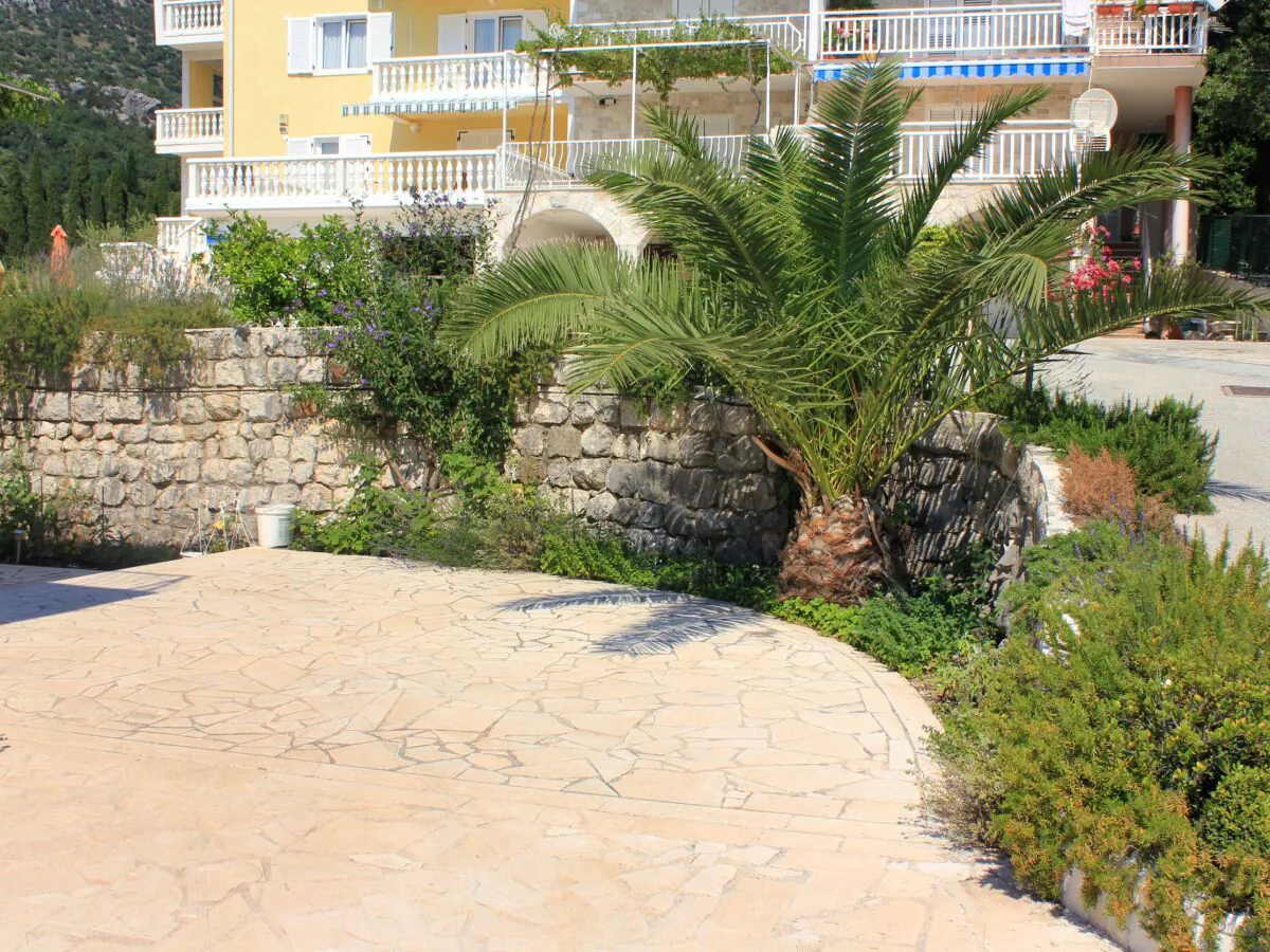 Apartment Two bedroom apartment with balcony and sea view Slano, Dubrovnik A-3184-a - Outdoor photo 5