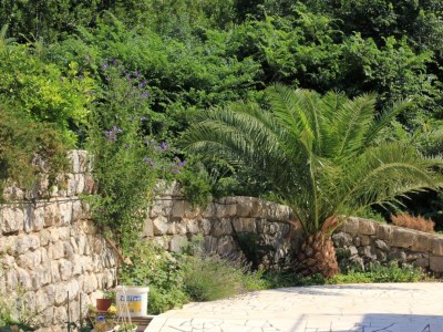 Apartment Two bedroom apartment with balcony and sea view Slano, Dubrovnik A-3184-a - Outdoor photo 6