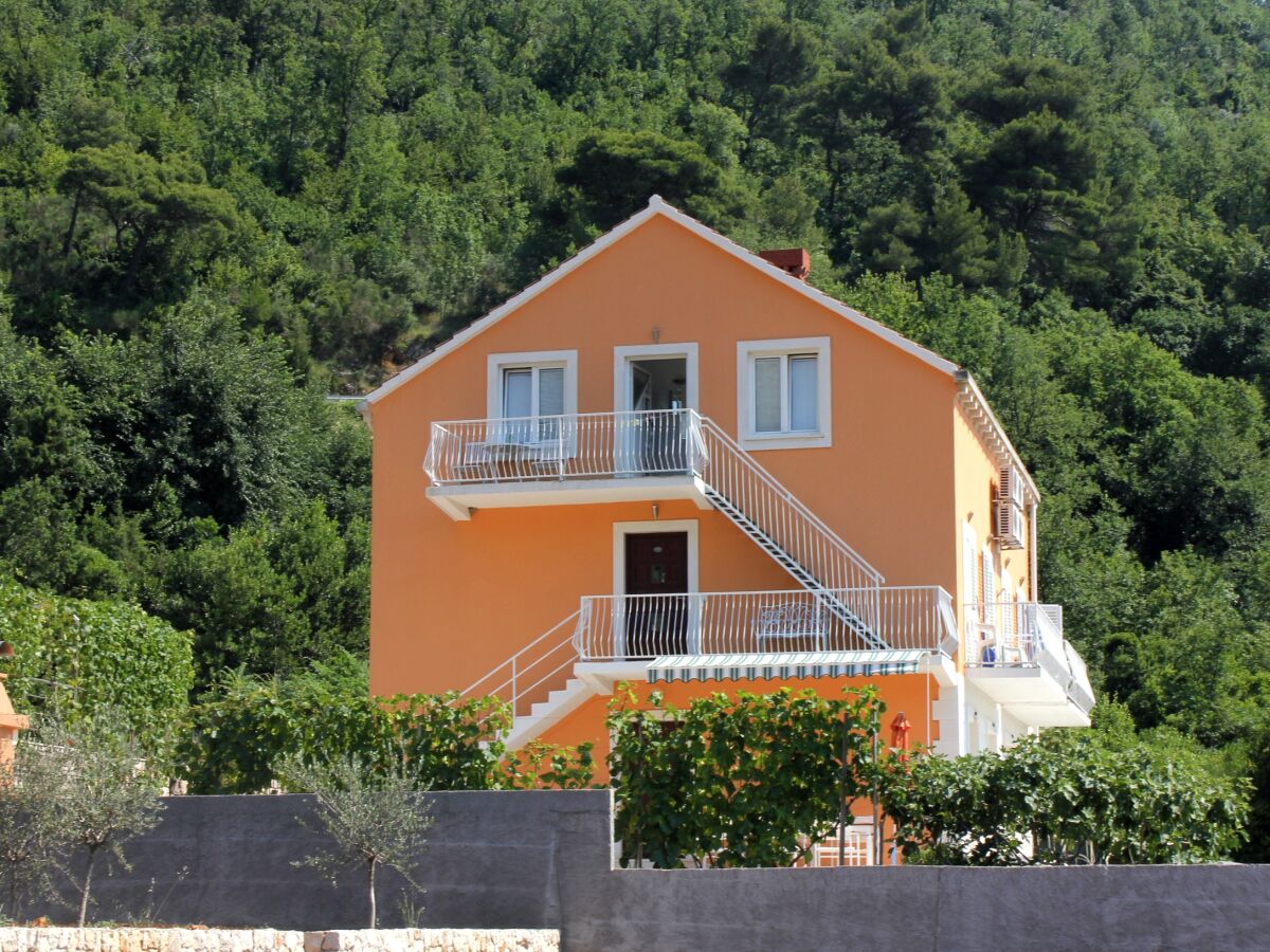 Apartment Studio flat with air-conditioning Slano, Dubrovnik AS-3184-c - Outdoor photo 4
