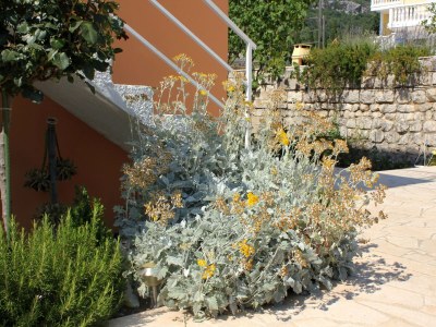 Apartment Studio flat with air-conditioning Slano, Dubrovnik AS-3184-c - Outdoor photo 8