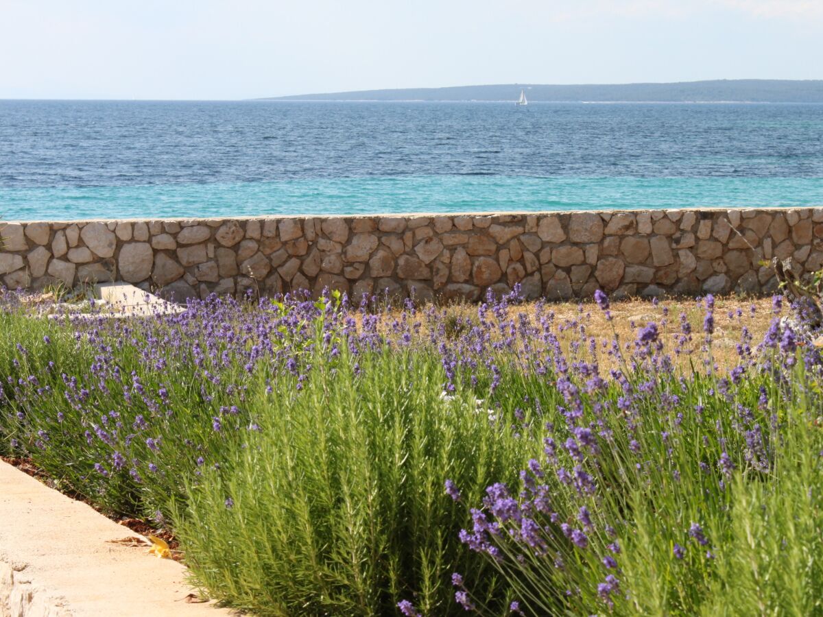 Apartment One bedroom apartment near beach Lun, Pag A-3320-c