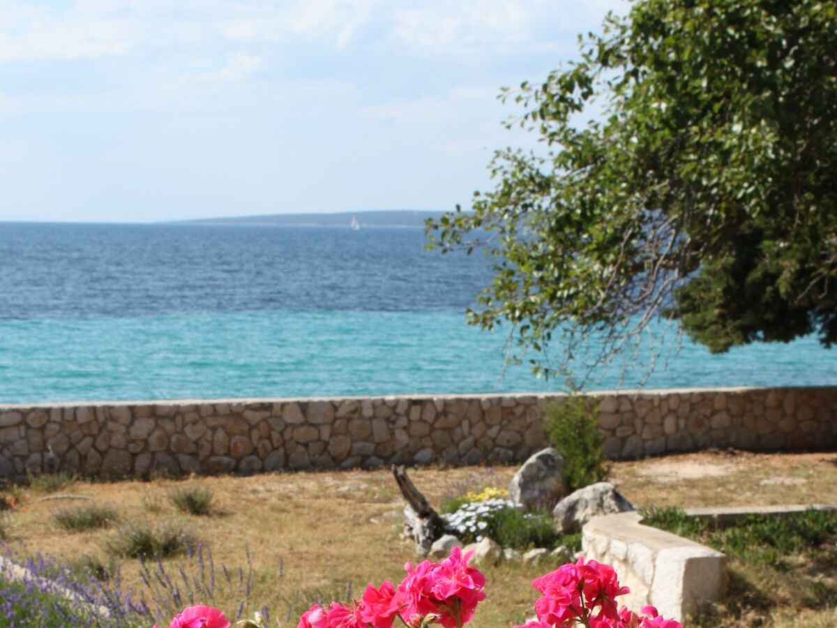 Apartment One bedroom apartment near beach Lun, Pag A-3320-e - Outdoor photo 4