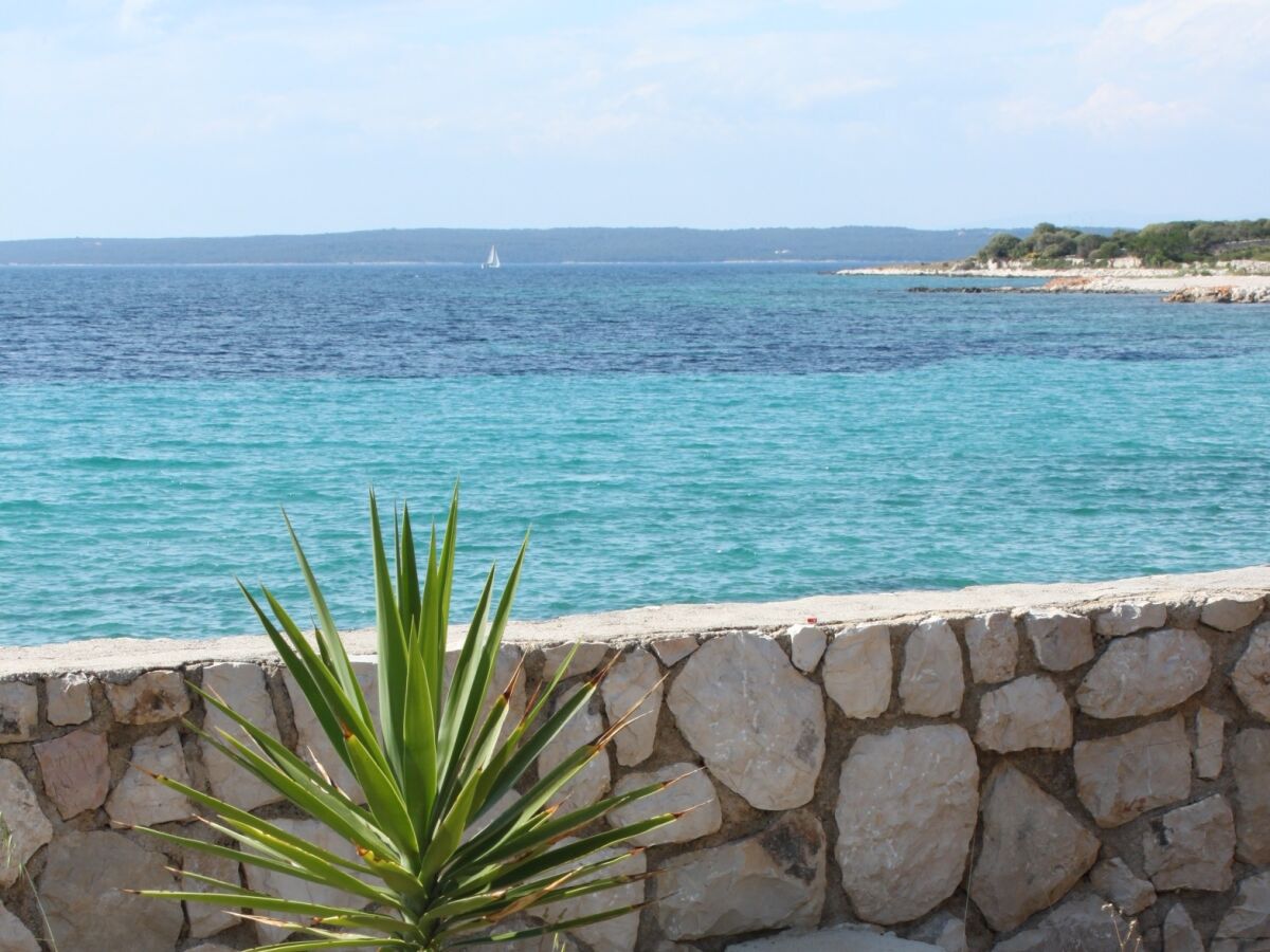 Apartment One bedroom apartment near beach Lun, Pag A-3320-e - Outdoor photo 5