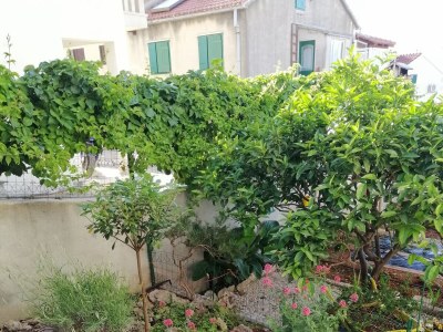 Apartment Two bedroom apartment with terrace and sea view Postira, Brač A-2911-c - Outdoor photo 6