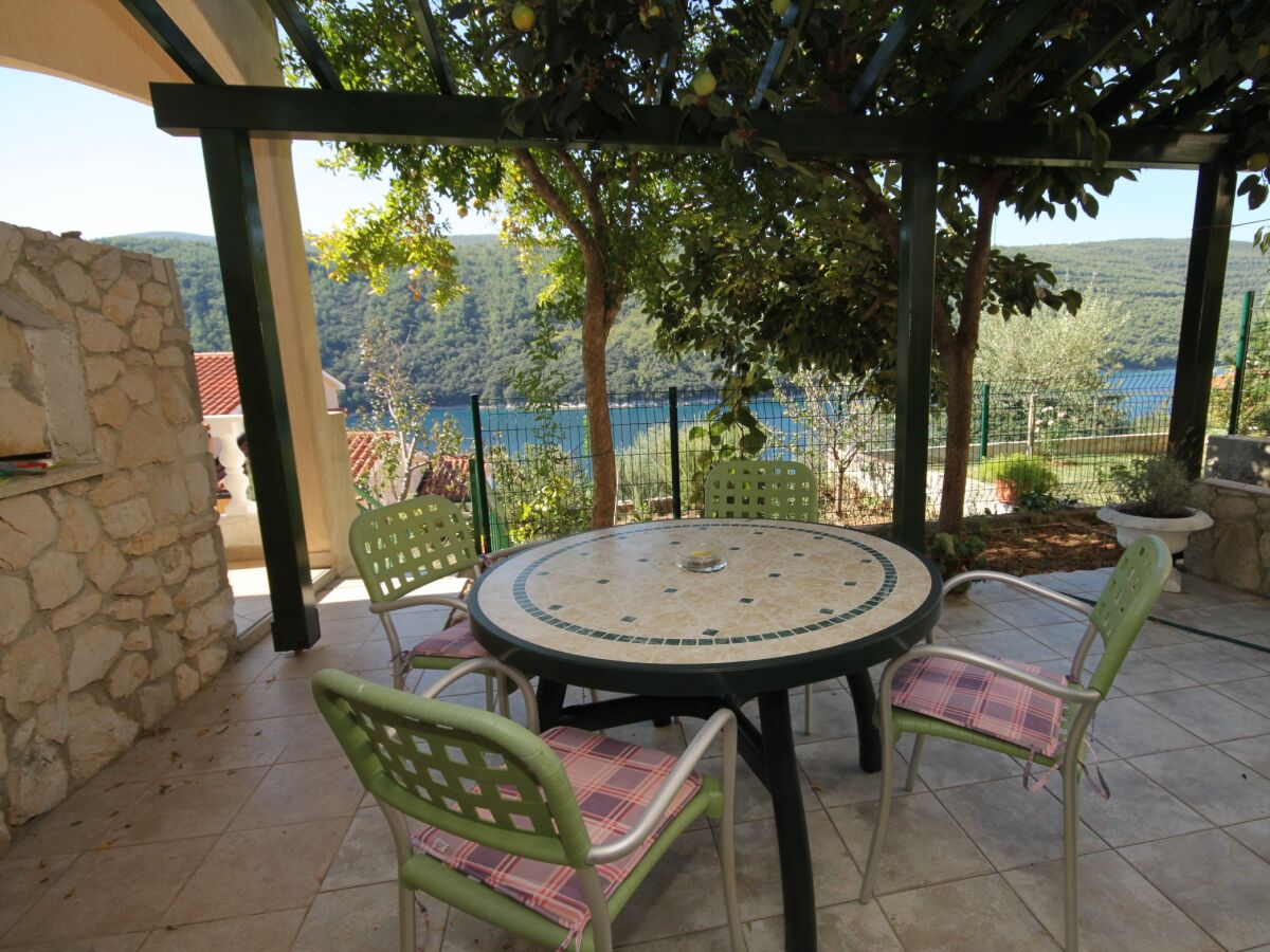 Apartment One bedroom apartment with terrace and sea view Duga Luka (Prtlog), Labin A-3025-c