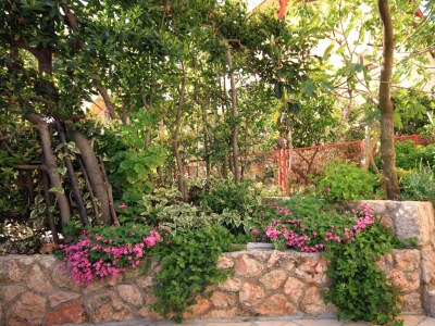 Apartment One bedroom apartment with terrace and sea view Jelsa, Hvar A-4017-b - Outdoor photo 13
