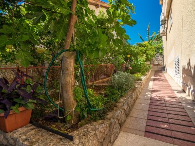 Apartment One bedroom apartment with terrace and sea view Jelsa, Hvar A-4017-b - Outdoor photo 15