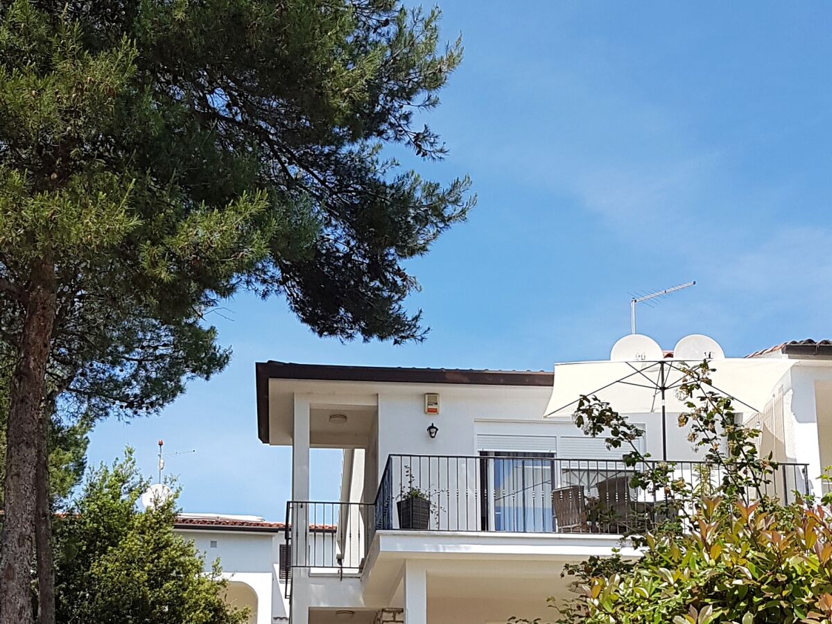 Apartment One bedroom apartment with terrace and sea view Rovinj A-3373-a - Outdoor photo 4
