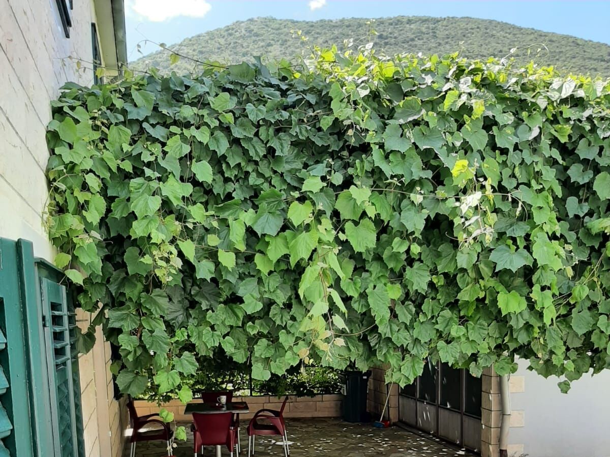 Apartment Studio flat Trpanj, Pelješac AS-250-b - Outdoor photo 2