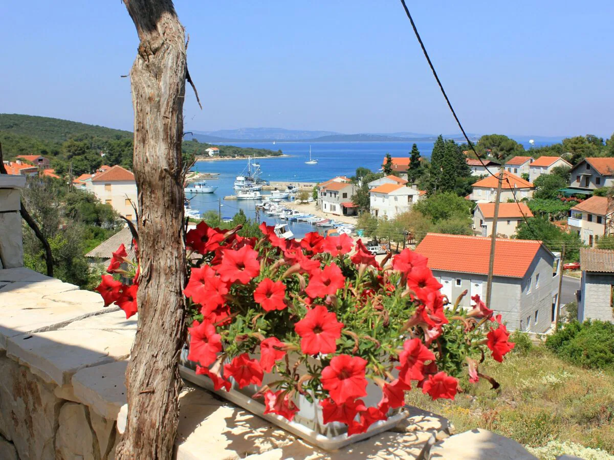 Apartment One bedroom apartment with terrace and sea view Žman, Dugi otok A-887-b