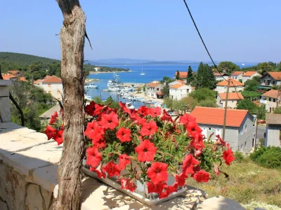 Apartment One bedroom apartment with terrace and sea view Žman, Dugi otok A-887-c in Žman - Apartment