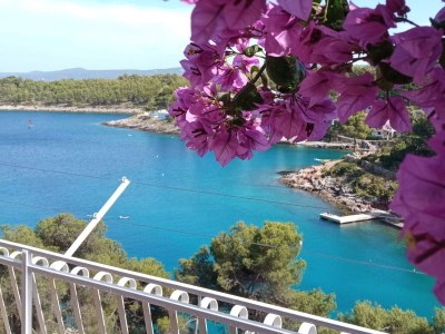 Apartment Three bedroom apartment with terrace and sea view Basina, Hvar A-4620-a in Vrbanj - Apartment