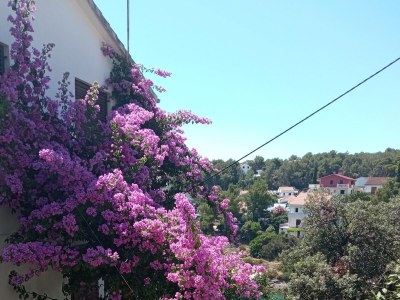 Apartment Studio flat with terrace and sea view Basina, Hvar AS-4620-a - Outdoor photo 6