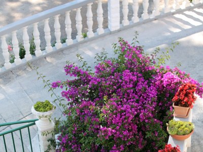 Apartment One bedroom apartment near beach Supetarska Draga - Gornja, Rab A-2016-a - Outdoor photo 19