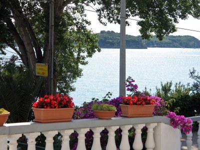 Apartment Two bedroom apartment near beach Supetarska Draga - Gornja, Rab A-2016-b - Outdoor photo 17