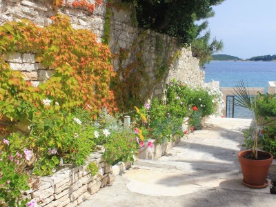 Apartment Two bedroom apartment near beach Orebić, Pelješac A-2130-a - Outdoor photo 11
