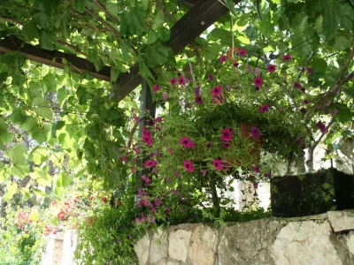 Holiday room near beach Trstenik, Pelješac S-4566-c - Outdoor photo 15