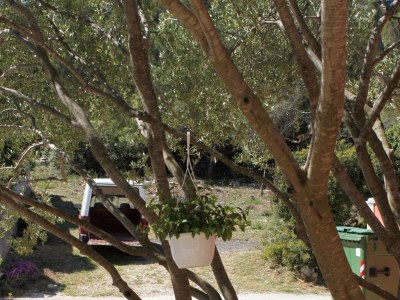 Apartment One bedroom apartment with terrace and sea view Tkon, Pašman A-6215-c - Outdoor photo 11