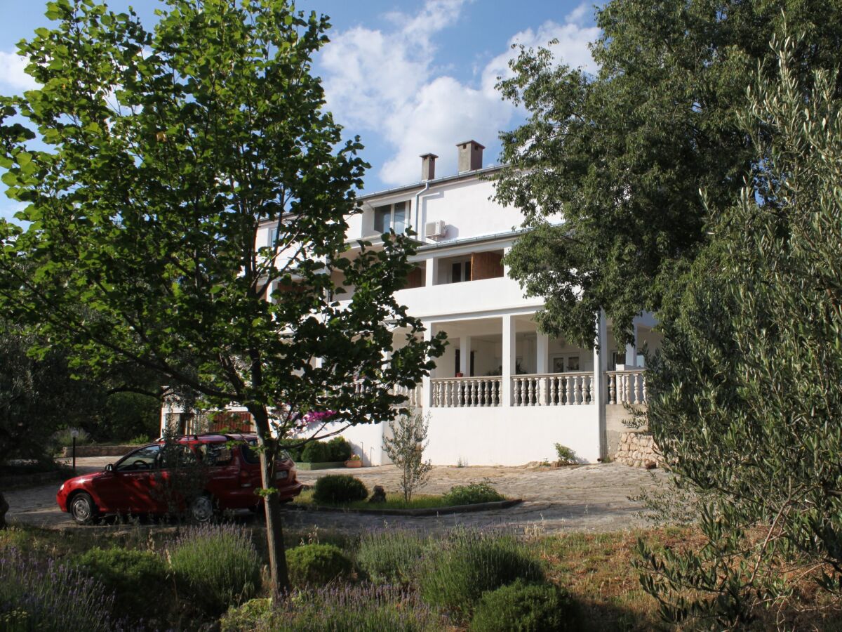 Apartment Two bedroom apartment with terrace and sea view Starigrad, Paklenica A-6587-a