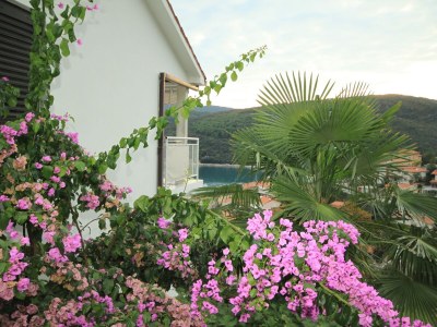 Apartment Two bedroom apartment with terrace and sea view Rabac, Labin A-7474-a - Outdoor photo 6