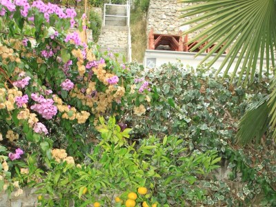 Apartment Two bedroom apartment with terrace and sea view Rabac, Labin A-7474-a - Outdoor photo 10