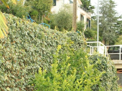 Apartment Two bedroom apartment with terrace and sea view Rabac, Labin A-7474-a - Outdoor photo 12
