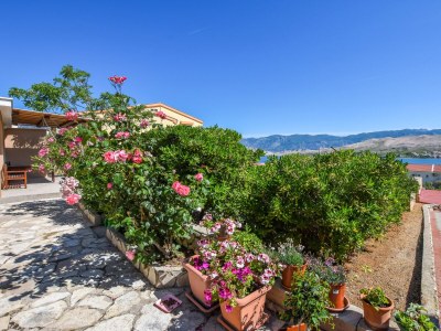Apartment One bedroom apartment with terrace and sea view Pag A-6316-d - Outdoor photo 15