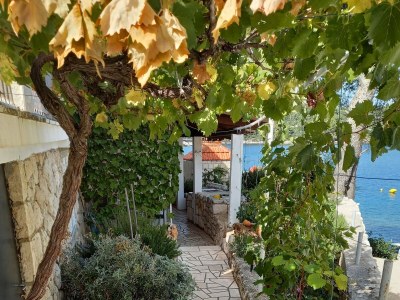 Apartment Studio flat near beach Sobra, Mljet AS-7531-d - Outdoor photo 8