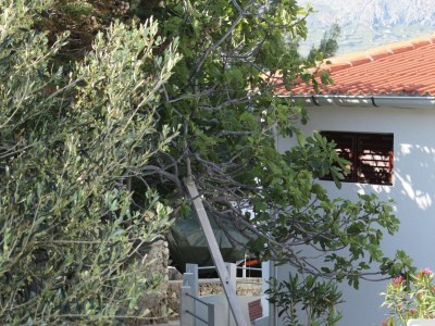 Apartment Two bedroom apartment near beach Kustići, Pag A-6335-a - Outdoor photo 6