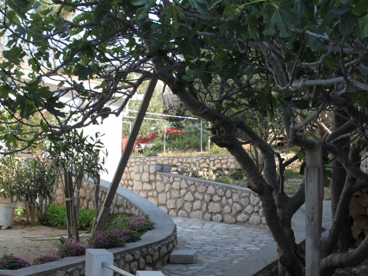 Apartment One bedroom apartment near beach Kustići, Pag A-6335-e - Outdoor photo 4