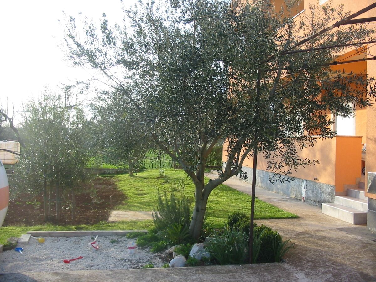 Apartment One bedroom apartment with terrace Pula A-7420-a - Outdoor photo 5