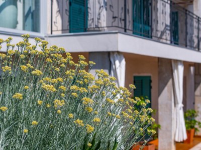 Apartment Two bedroom apartment with terrace and sea view Medveja, Opatija A-7720-b - Outdoor photo 13
