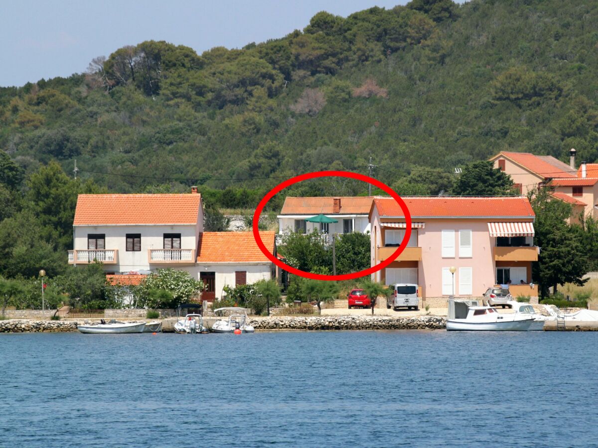 Apartment Apartments by the sea Verunić, Dugi otok - 8104 - Apartments by the sea Verunić, Dugi otok - 8104