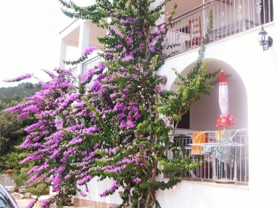 Apartment Two bedroom apartment near beach Cove Pokrivenik, Hvar A-8673-a - Outdoor photo 16