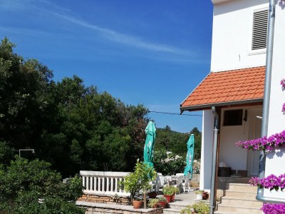 Apartment Studio flat near beach Cove Pokrivenik, Hvar AS-8673-b - Outdoor photo 12