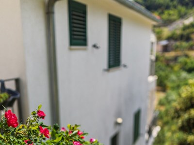 Apartment One bedroom apartment near beach Cove Torac, Hvar A-8653-a - Outdoor photo 4