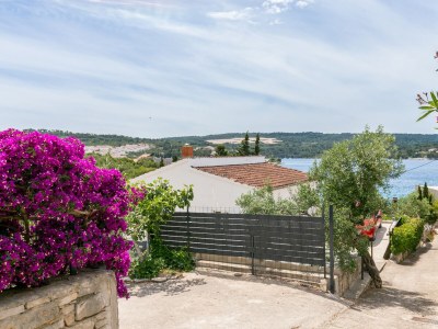 Apartment Two bedroom apartment with terrace and sea view Nečujam, Šolta A-8691-a - Outdoor photo 6