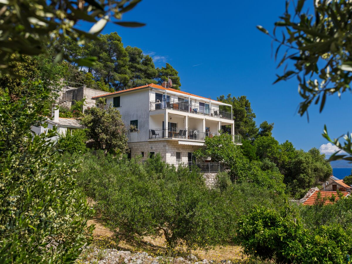 Apartment Studio flat near beach Cove Torac, Hvar AS-8653-b - Outdoor photo 2