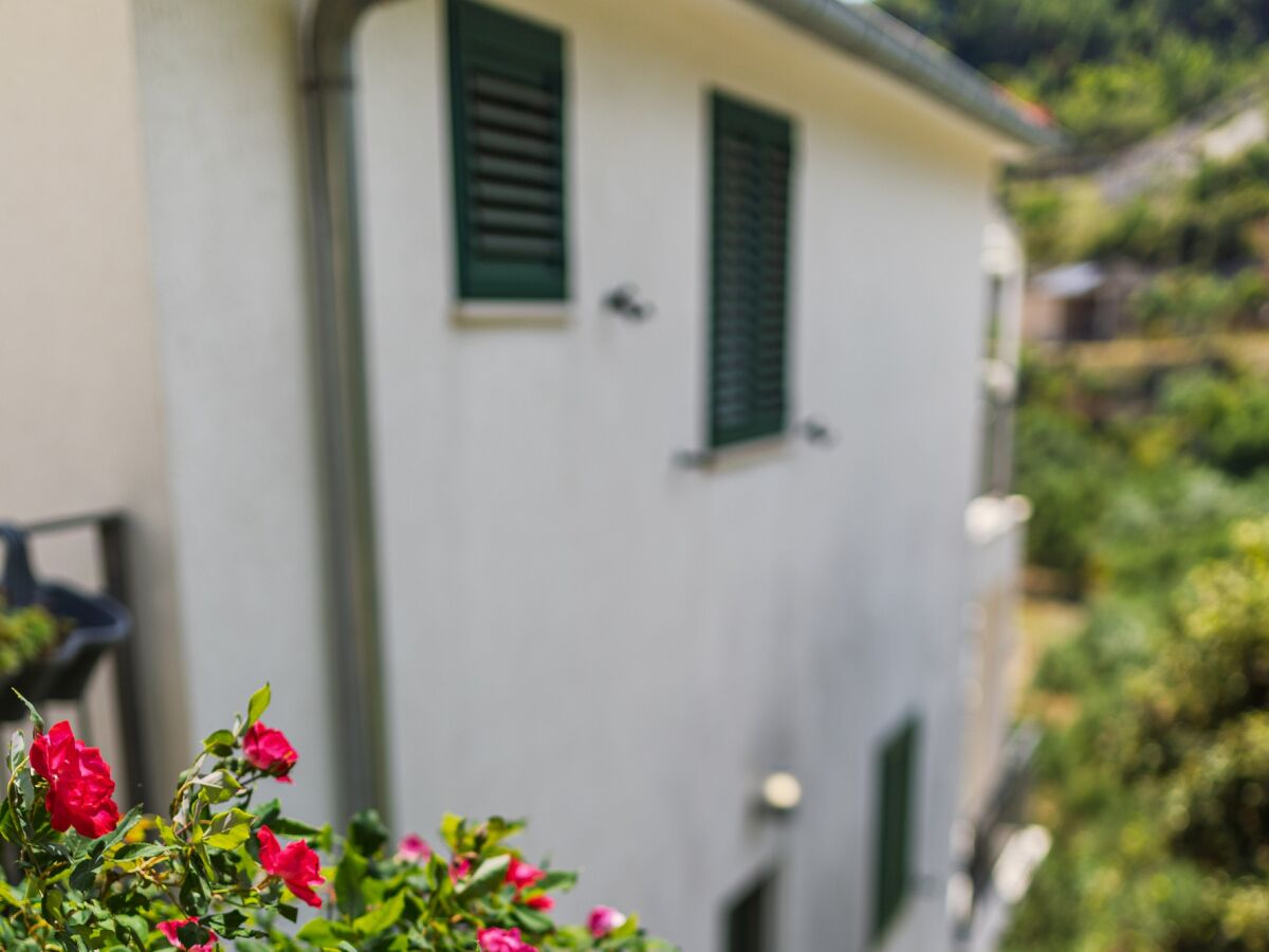Apartment Studio flat near beach Cove Torac, Hvar AS-8653-b - Outdoor photo 4