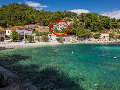Apartment Studio flat near beach Cove Torac, Hvar AS-8653-b in Gdinj - Apartment